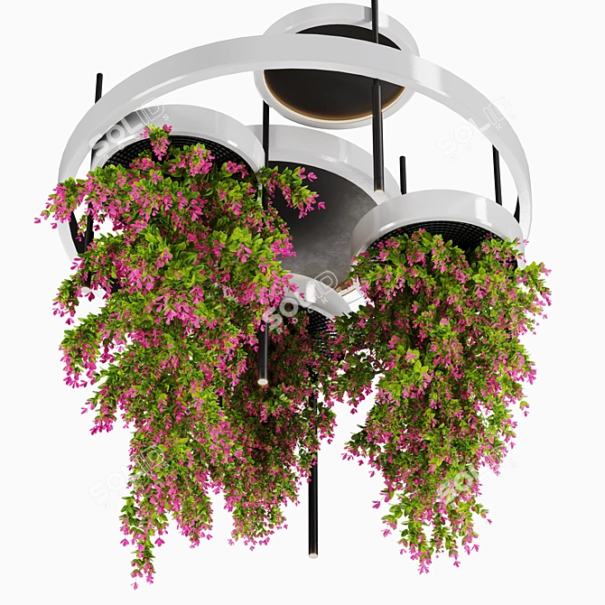 High-Quality Indoor Hanging Plant Set 3D model image 1