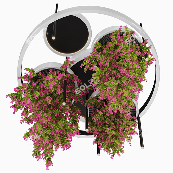 High-Quality Indoor Hanging Plant Set 3D model image 2