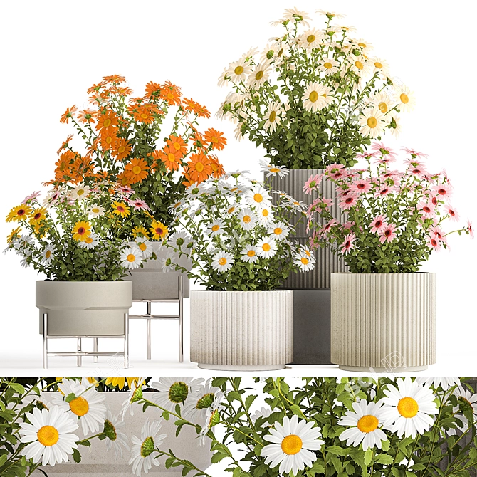 Title: Field Flowers Collection in Planters 3D model image 1