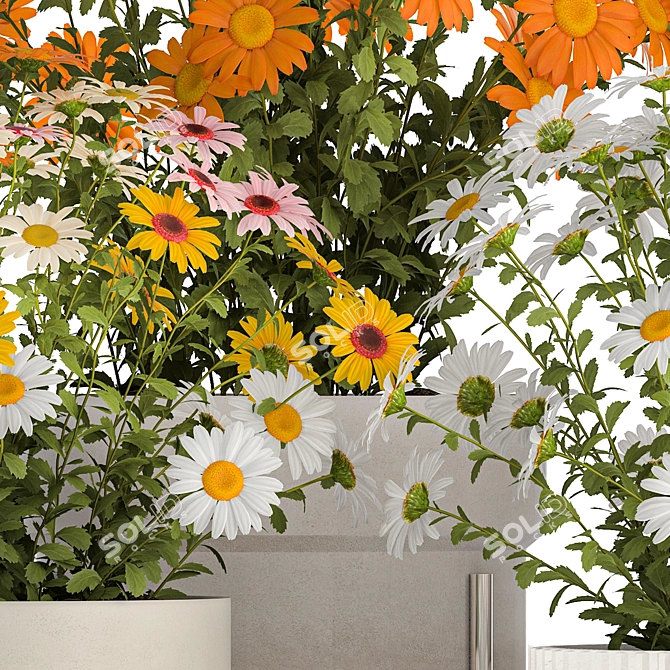 Title: Field Flowers Collection in Planters 3D model image 2