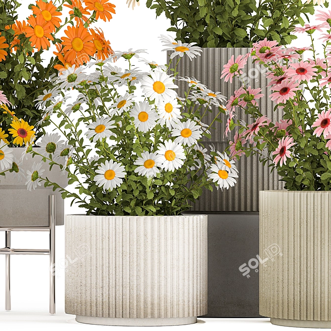 Title: Field Flowers Collection in Planters 3D model image 3