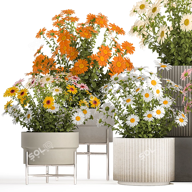 Title: Field Flowers Collection in Planters 3D model image 4