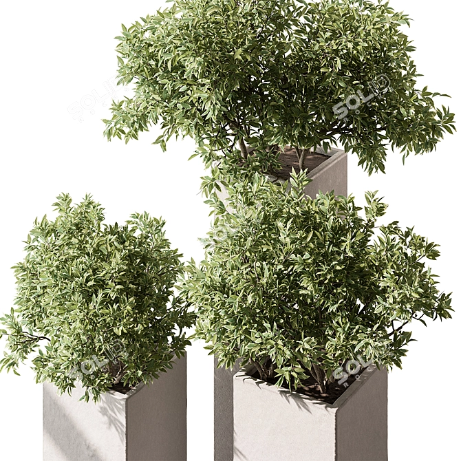 Botanical Garden Outdoor Planter 3D model image 3