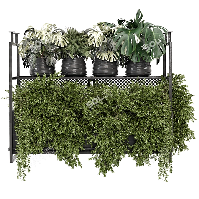 Metal Box Indoor Hanging Plants 3D model image 3
