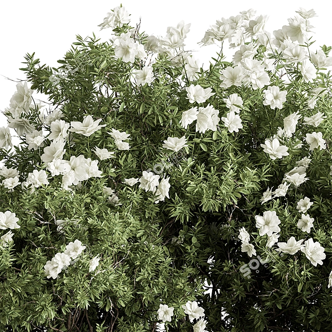 Assorted Floral Bushes Set 144 3D model image 2