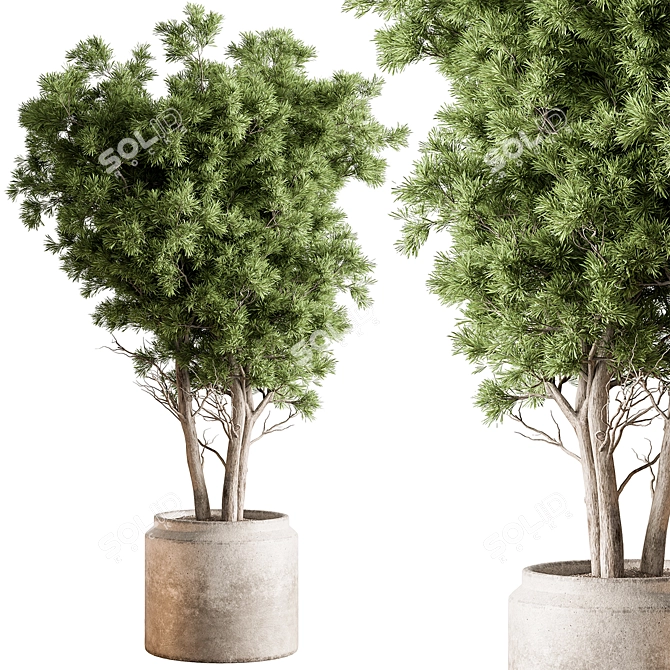 Elegant Tree in Pot 729 3D model image 1