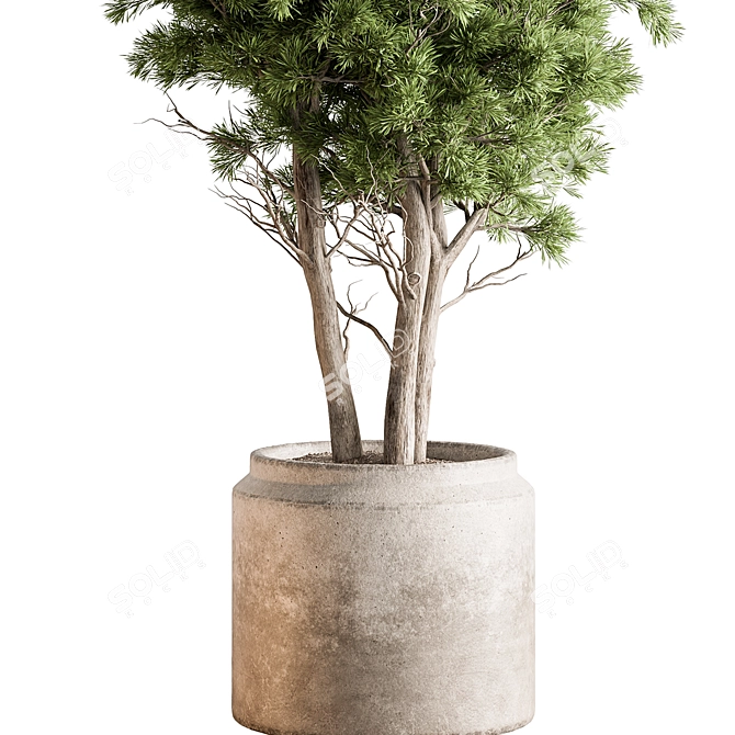 Elegant Tree in Pot 729 3D model image 2