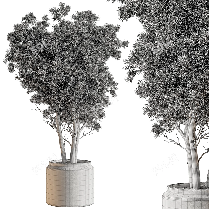 Elegant Tree in Pot 729 3D model image 4