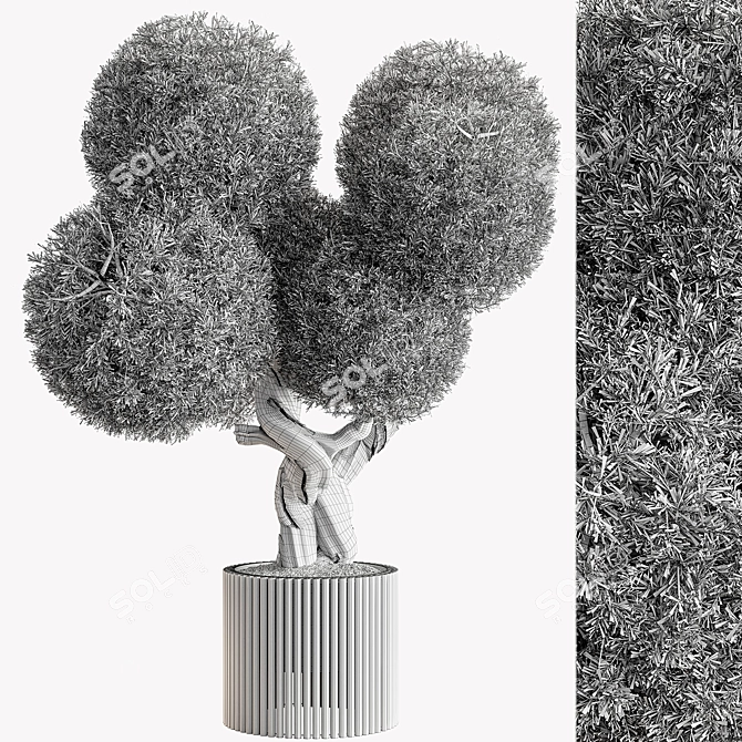 Topiary Ball Outdoor Plant 3D model image 4