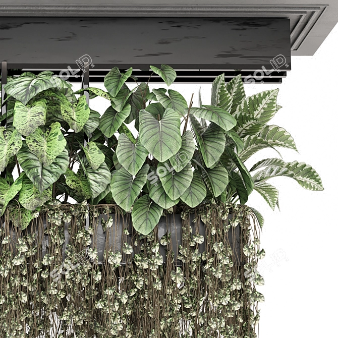 Compact Metal Hanging Plant Set 3D model image 2