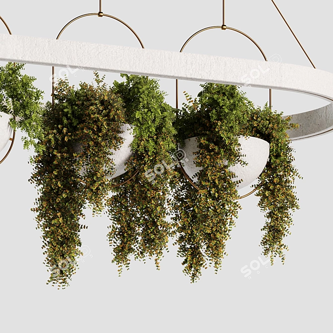 Botanical Charm: Hanging Plants Collection 3D model image 2