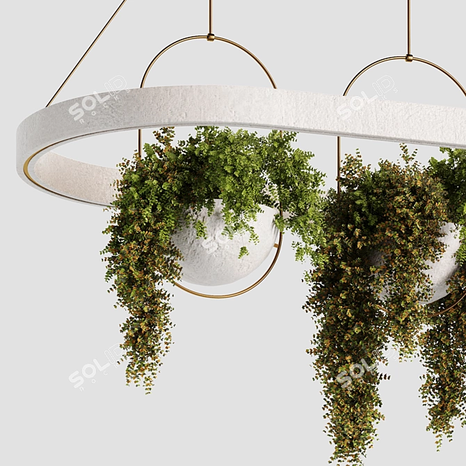 Botanical Charm: Hanging Plants Collection 3D model image 3