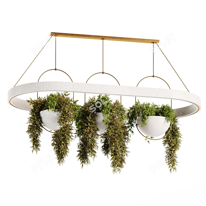 Botanical Charm: Hanging Plants Collection 3D model image 4