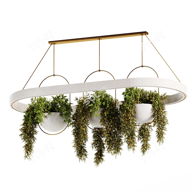 Botanical Charm: Hanging Plants Collection 3D model image 5