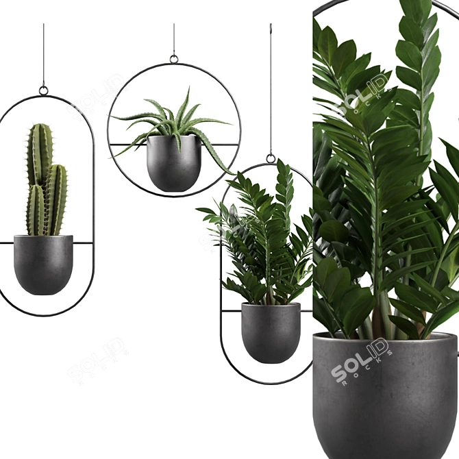 Exotic Indoor Plants 3D Models 3D model image 3