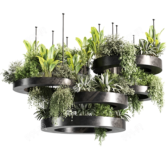 Premium Indoor Hanging Plant Set 3D model image 1