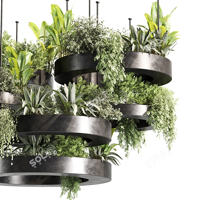 Premium Indoor Hanging Plant Set 3D model image 2