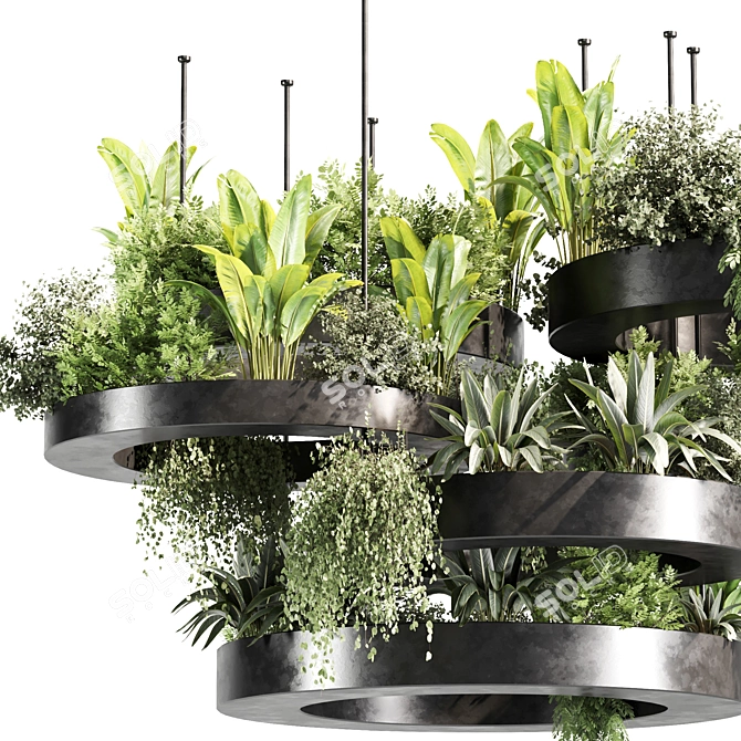 Premium Indoor Hanging Plant Set 3D model image 3