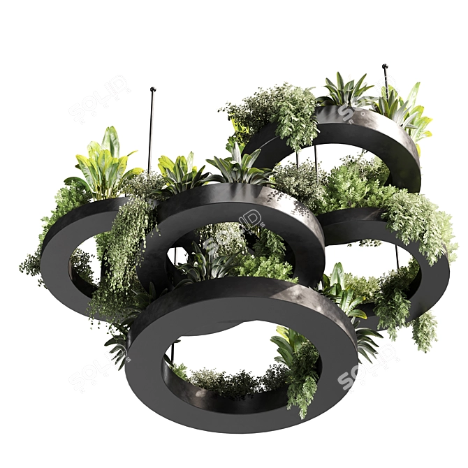 Premium Indoor Hanging Plant Set 3D model image 6