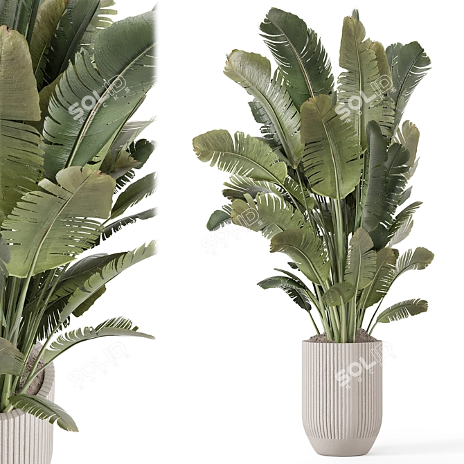 Handmade Stone Pot with Indoor Plants 3D model image 1