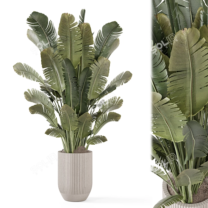 Handmade Stone Pot with Indoor Plants 3D model image 2