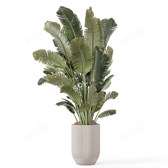 Handmade Stone Pot with Indoor Plants 3D model image 3