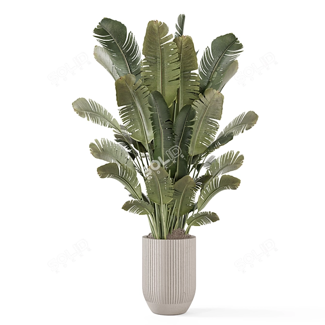 Handmade Stone Pot with Indoor Plants 3D model image 4