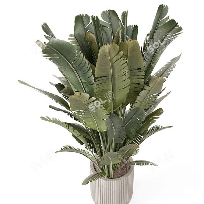 Handmade Stone Pot with Indoor Plants 3D model image 5