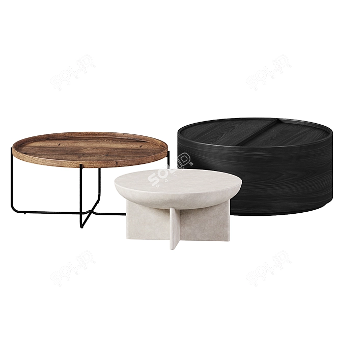 Round Coffee Tables Variety by West Elm 3D model image 2