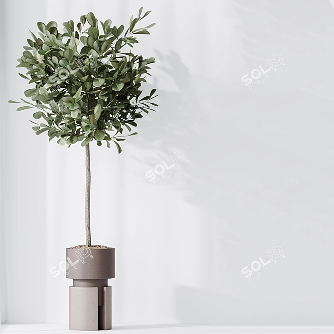 Exotic Indoor Plant Set Bundle 3D model image 6