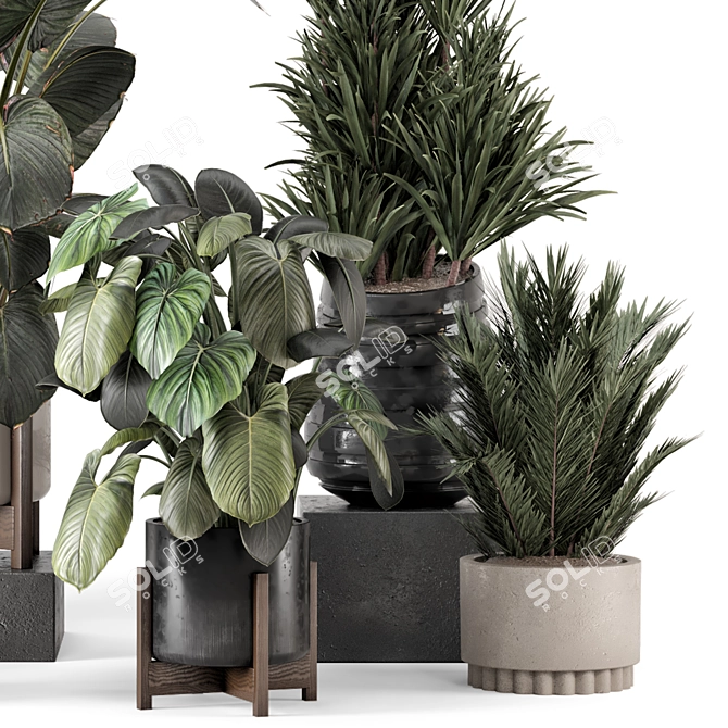 Wood and Stone Indoor Plant Set 3D model image 3