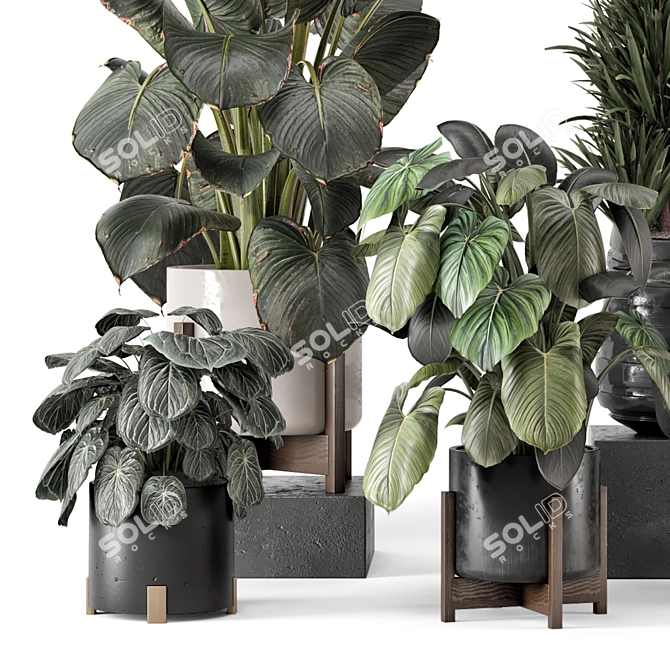 Wood and Stone Indoor Plant Set 3D model image 5