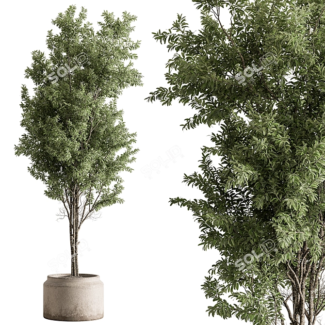 732 Indoor Tree Plant Pot 3D model image 1