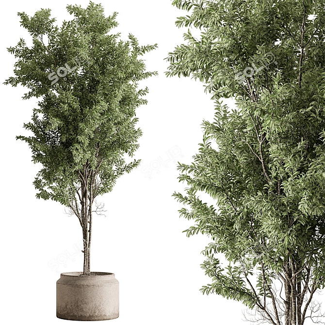 732 Indoor Tree Plant Pot 3D model image 2