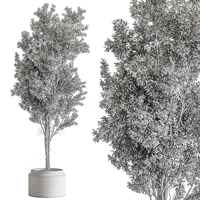 732 Indoor Tree Plant Pot 3D model image 5