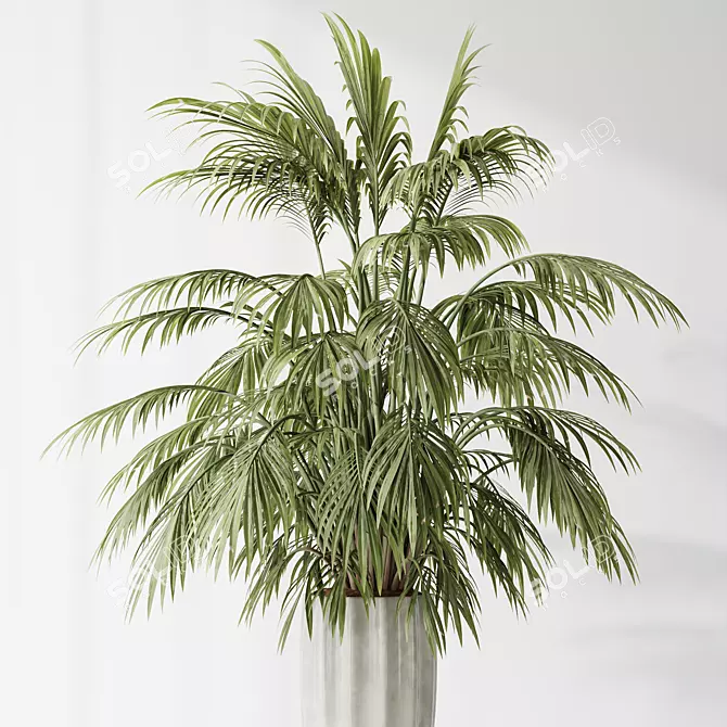 Tropical Indoor Plant Set 3D 3D model image 5