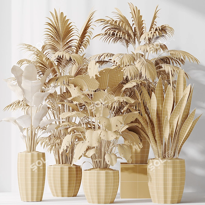 Tropical Indoor Plant Set 3D 3D model image 7