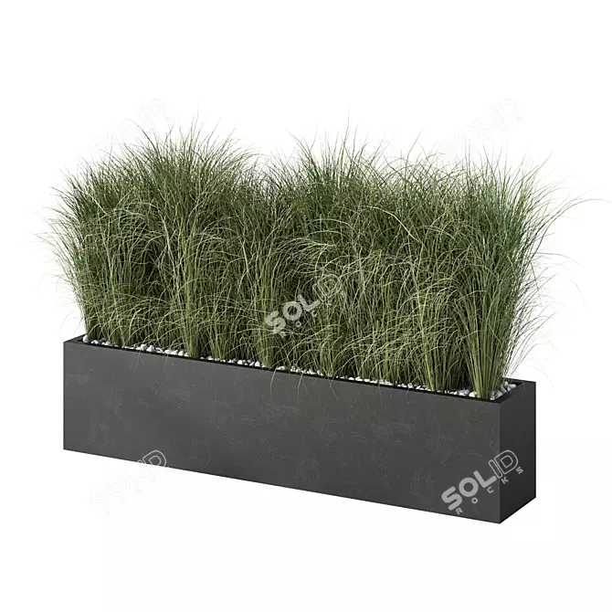 Lush Outdoor Grass Plant Set 3D model image 1