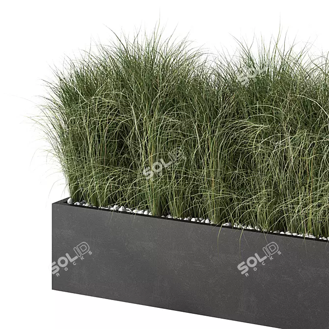 Lush Outdoor Grass Plant Set 3D model image 2