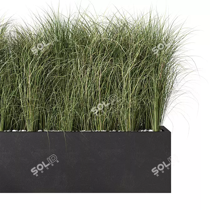 Lush Outdoor Grass Plant Set 3D model image 3