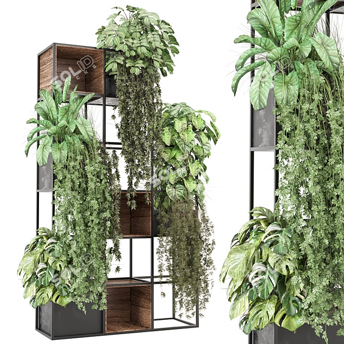 Potted Indoor Plants Collection 2015 3D model image 1