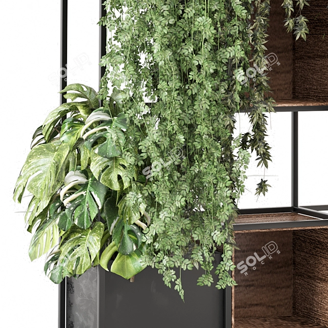 Potted Indoor Plants Collection 2015 3D model image 2