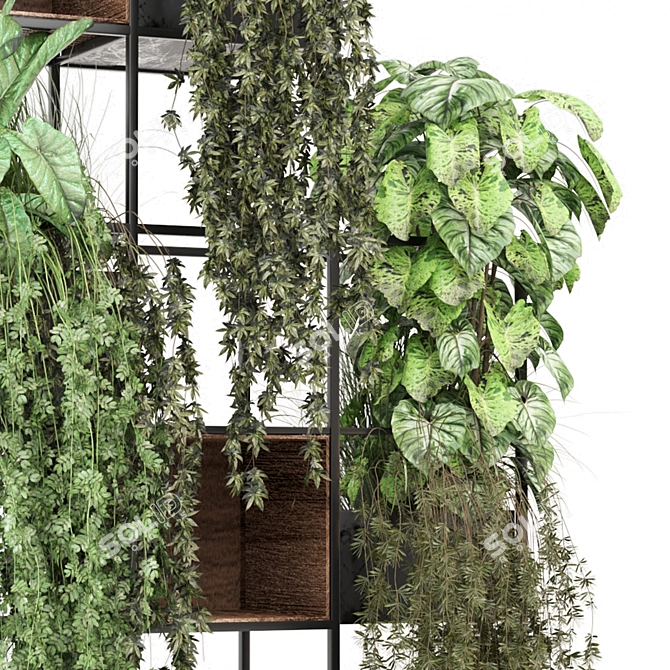 Potted Indoor Plants Collection 2015 3D model image 3