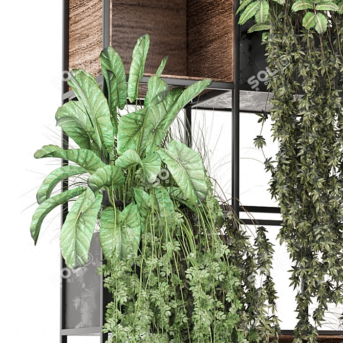 Potted Indoor Plants Collection 2015 3D model image 4