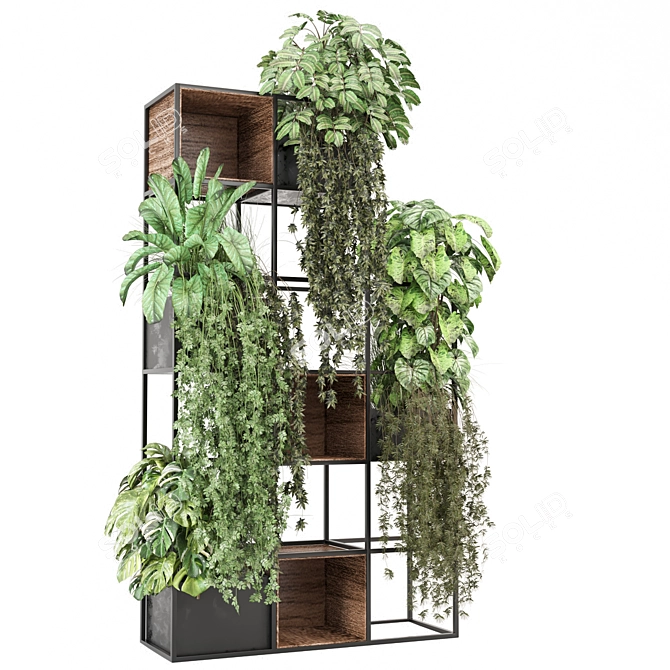Potted Indoor Plants Collection 2015 3D model image 6