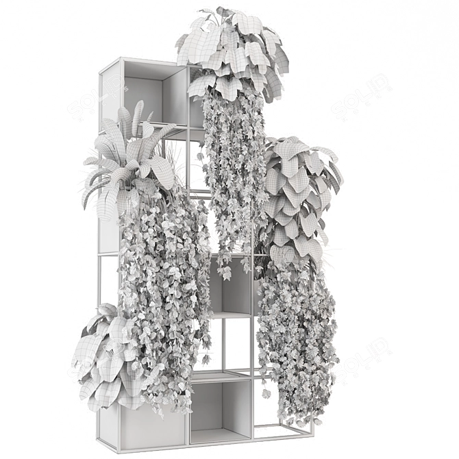 Potted Indoor Plants Collection 2015 3D model image 7