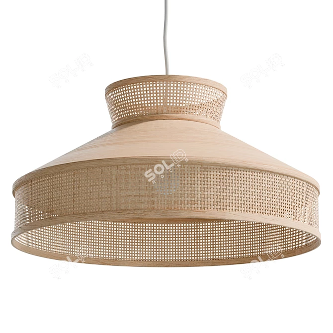  Modern Rattan Pendant Lamp 3D model image 1