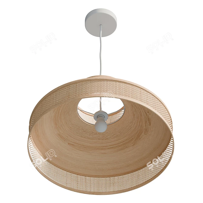  Modern Rattan Pendant Lamp 3D model image 4