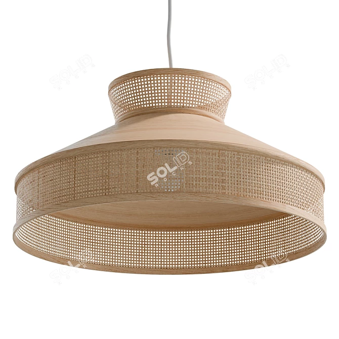  Modern Rattan Pendant Lamp 3D model image 5