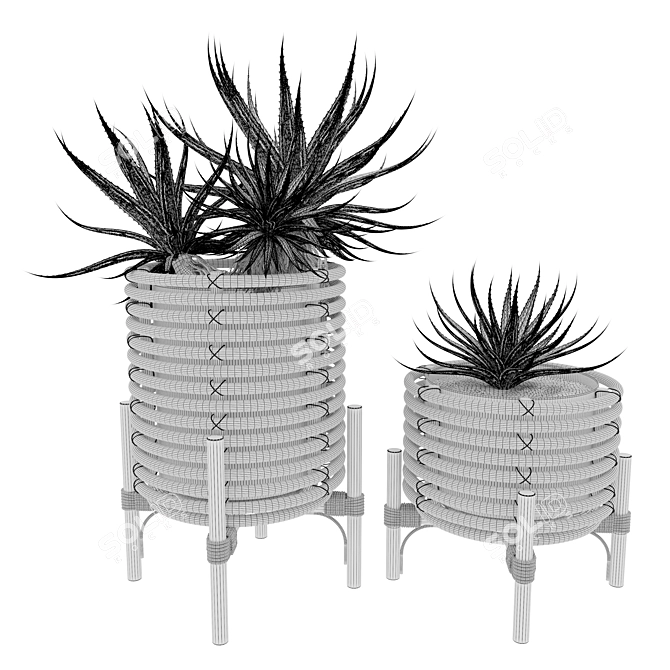 Rattan Planters Set with Vray 3D model image 4